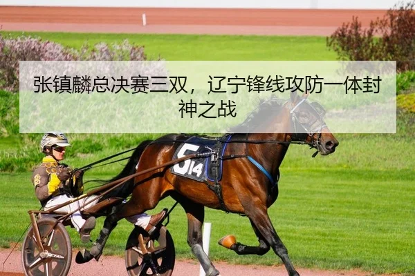 张镇麟总决赛三双，辽宁锋线攻防一体封神之战